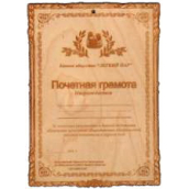 Табличка д/бани Почетная грамота гравированная Б-90 (25х17)